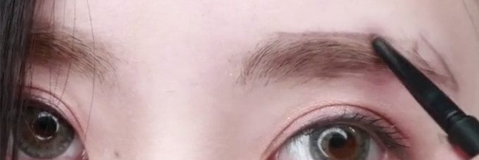 画眉教程推荐适合新手,画眉推荐初学者