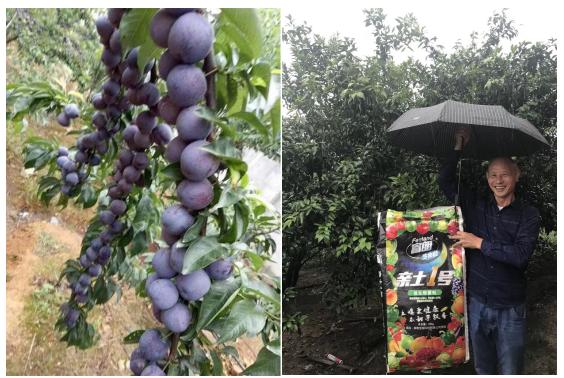 不会做农资的请注意,这位经销商的成功你可以复制