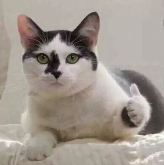 开车抽烟不开窗的办法,车内抽烟烟味多久消散