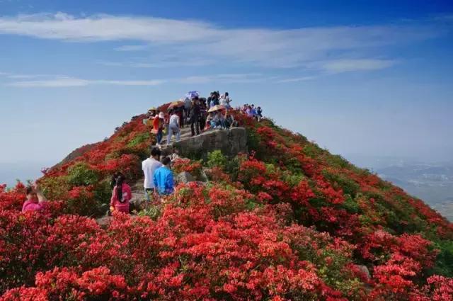 贵州余庆的发展,贵州余庆县经济怎样