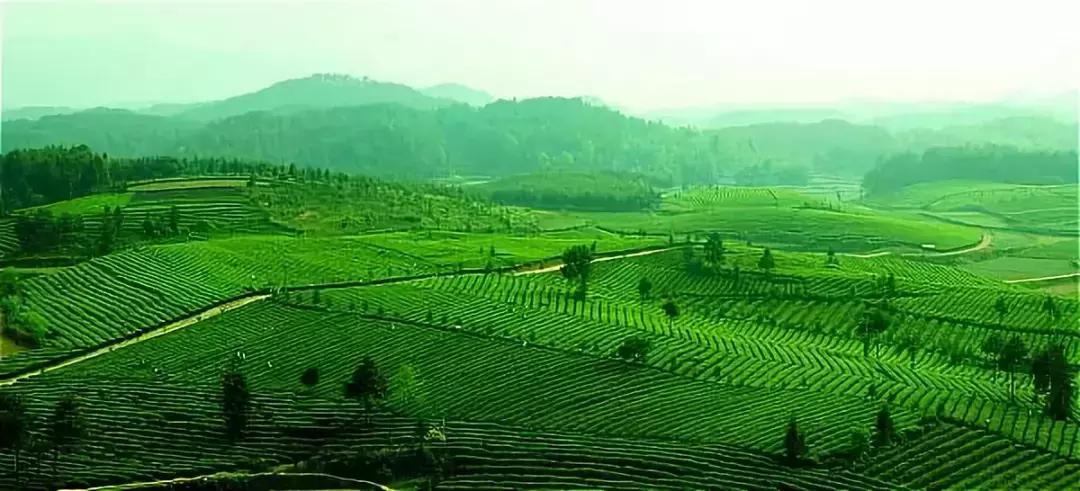 贵州余庆的发展,贵州余庆县经济怎样