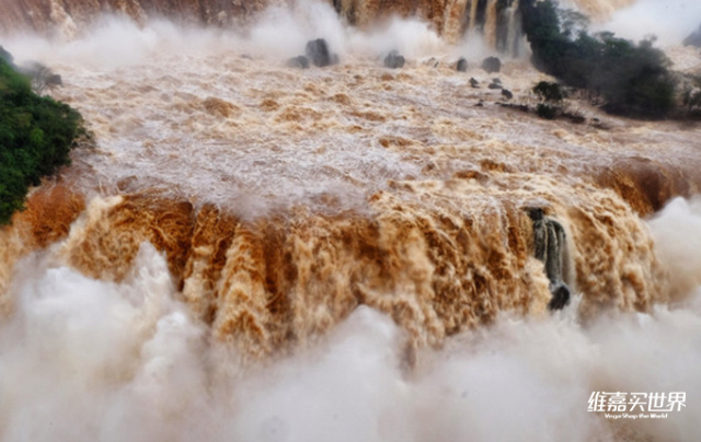 法国vs巴西最新比赛,法国vs乌拉圭2014