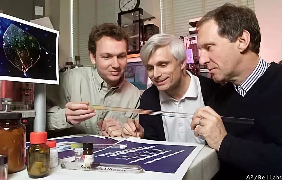 她曾深陷“诺奖级”学术丑闻，潜心耕耘靠人造皮肤爬回巅峰