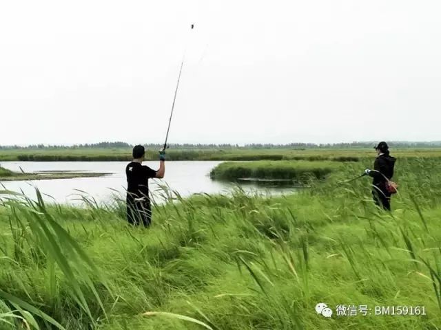 北大荒雷强打猎,北大荒雷强打黑