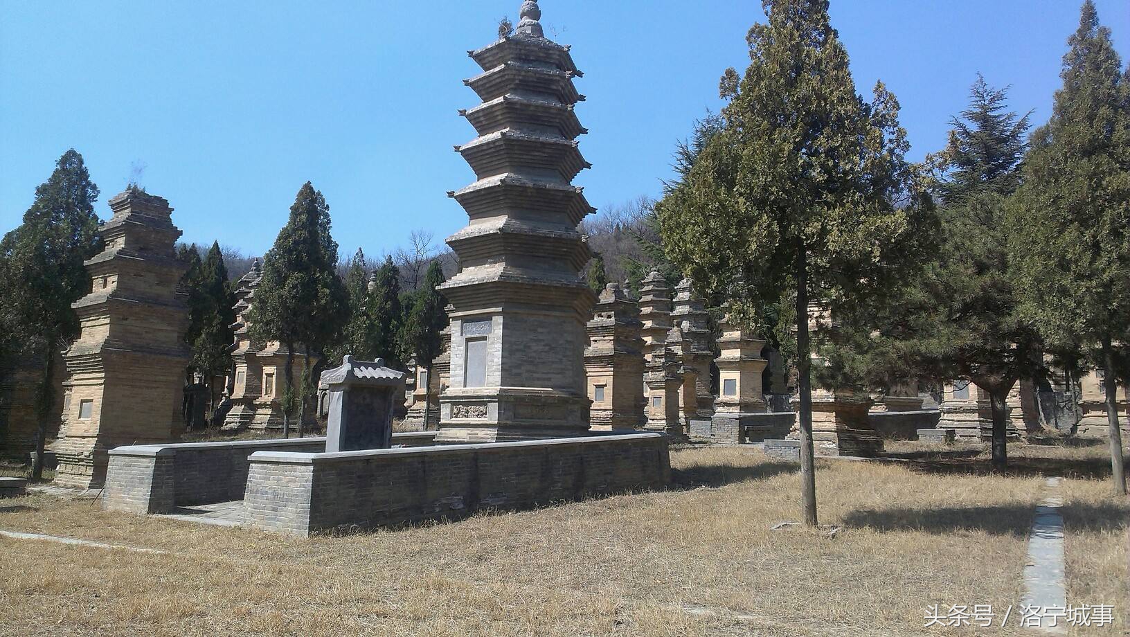 诗意老家洛宁县，有声名片《牧羊曲》！