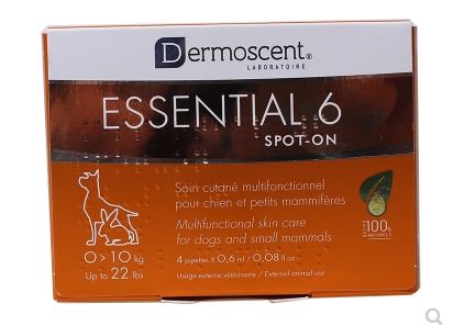 治疗猫狗皮肤病一般宠物店用什么,猫狗得了皮肤病