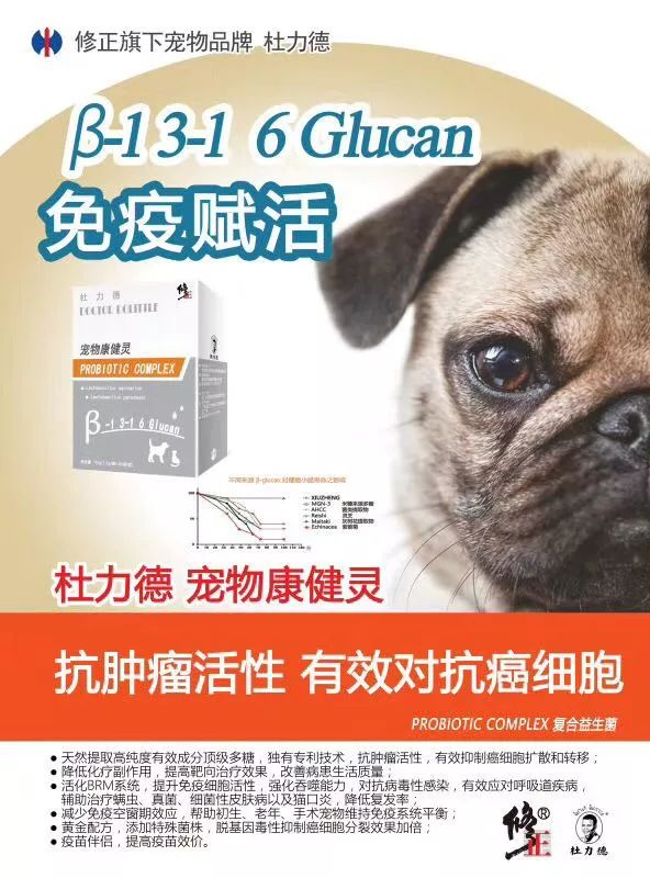 治疗猫狗皮肤病一般宠物店用什么,猫狗得了皮肤病