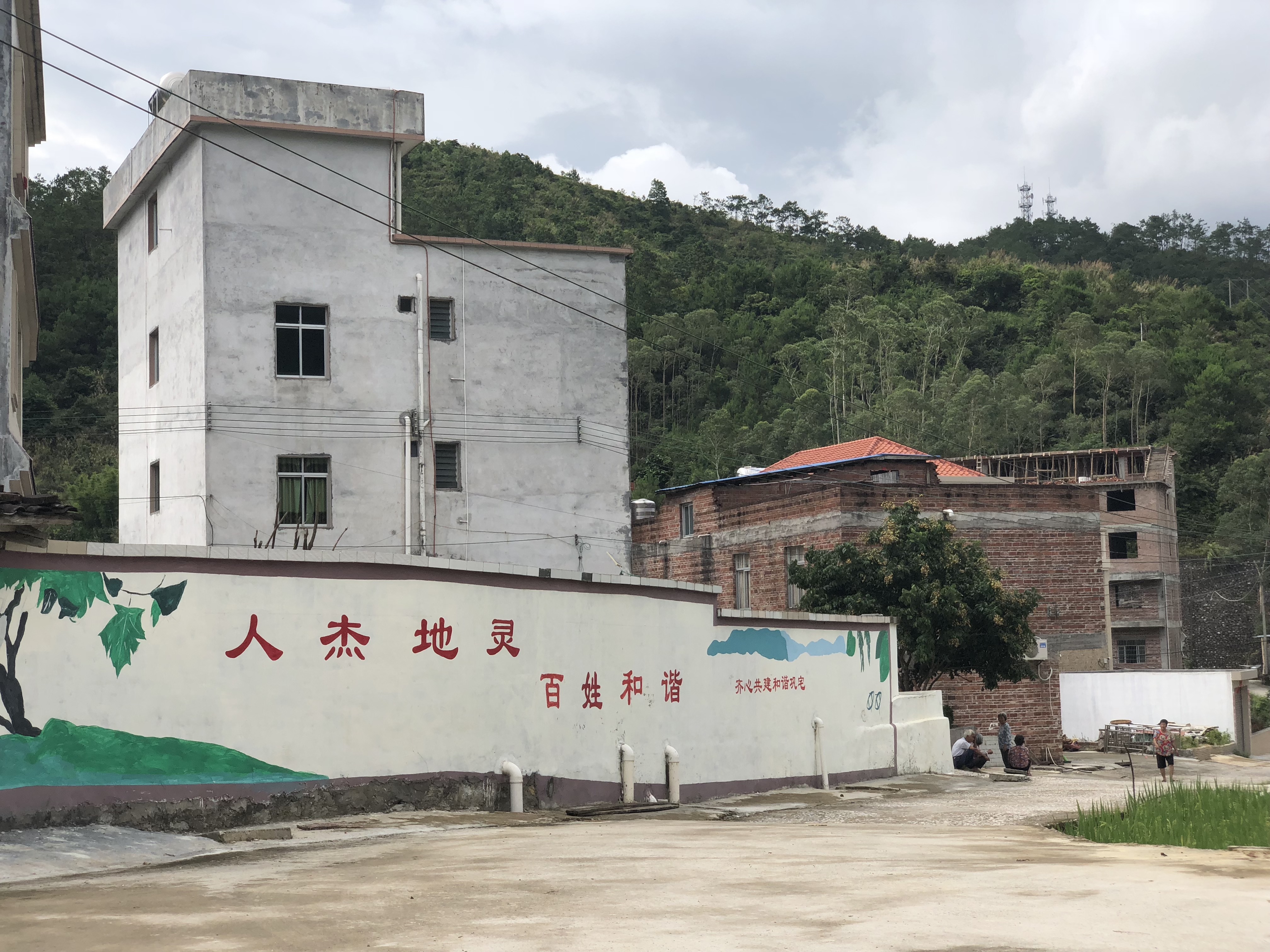 云浮打造特色乡村振兴项目,阳江云浮乡村振兴