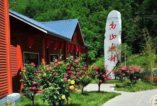 栾川美食的各种菜系第一名,栾川特色美食排行榜