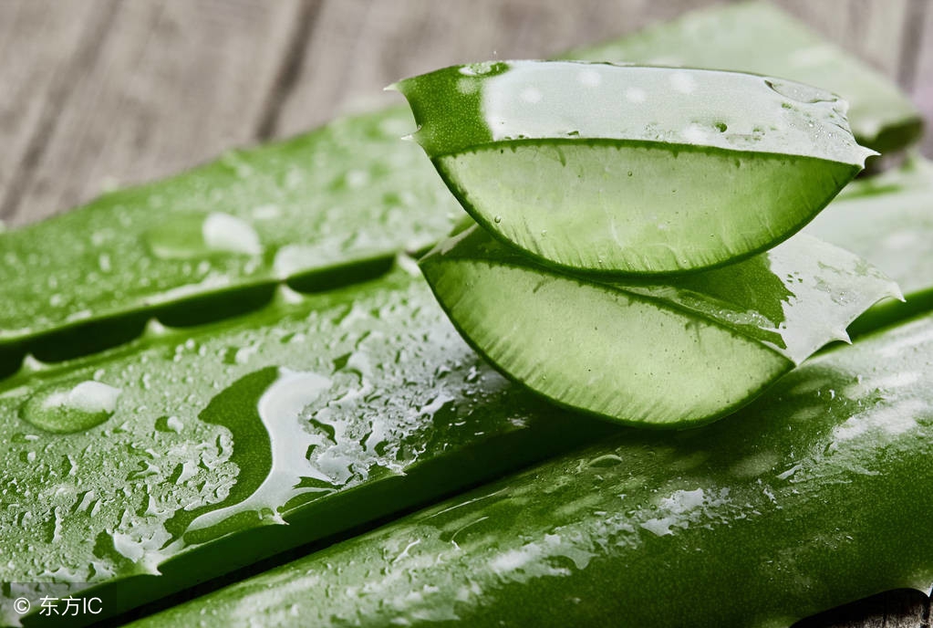 盛夏蚊虫叮咬用这几种中草药叶涂抹可以解除你难言之隐