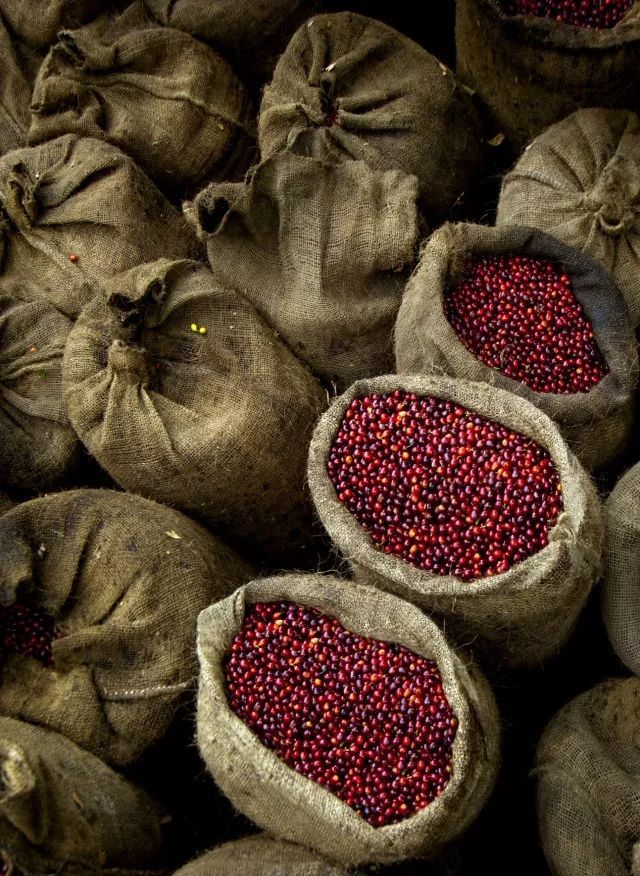 巴西里约热内卢的马拉卡纳体育场,巴西一公里一个足球场