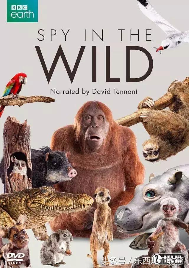 收藏儿童动画片,十部优秀儿童动画电影