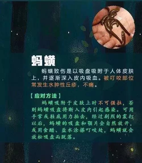 一家三口被刺身亡案,江苏一家三口被不知名虫子叮咬