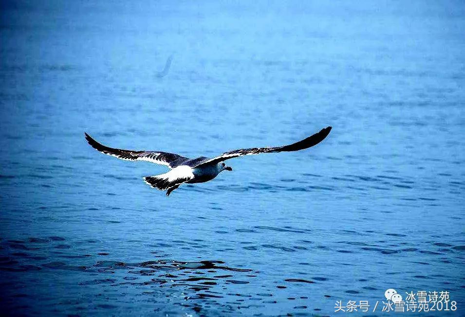 「诗家风采」杜先刚｜归乡偶记