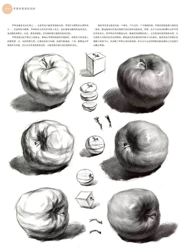 素描静物单体练习精品教程，非常详细，美术生看了都说好！