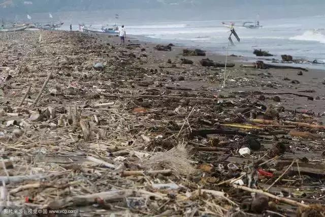 adidas道歉了没有,adidas真正的实战好鞋