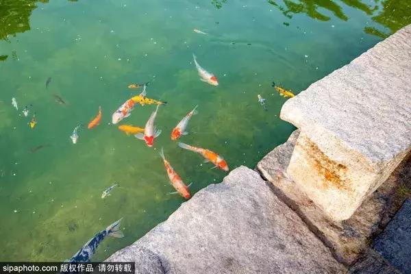 北京惊艳的地方,北京江南古镇风景