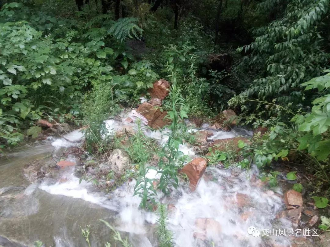 风景独好雨后天晴,风景独好画面迷人