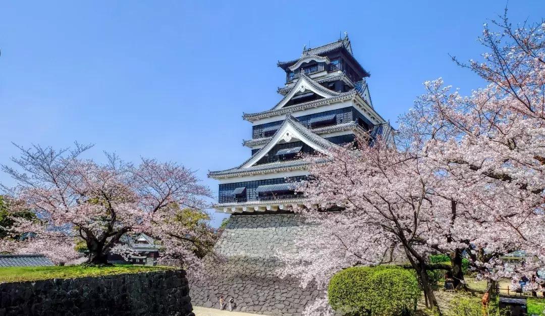 又一个对中国免签的国家,又1个免签国对中国开放