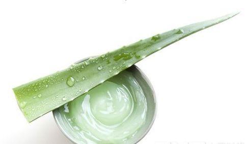 芦荟胶便宜大碗推荐 (超级好用又便宜的芦荟胶)