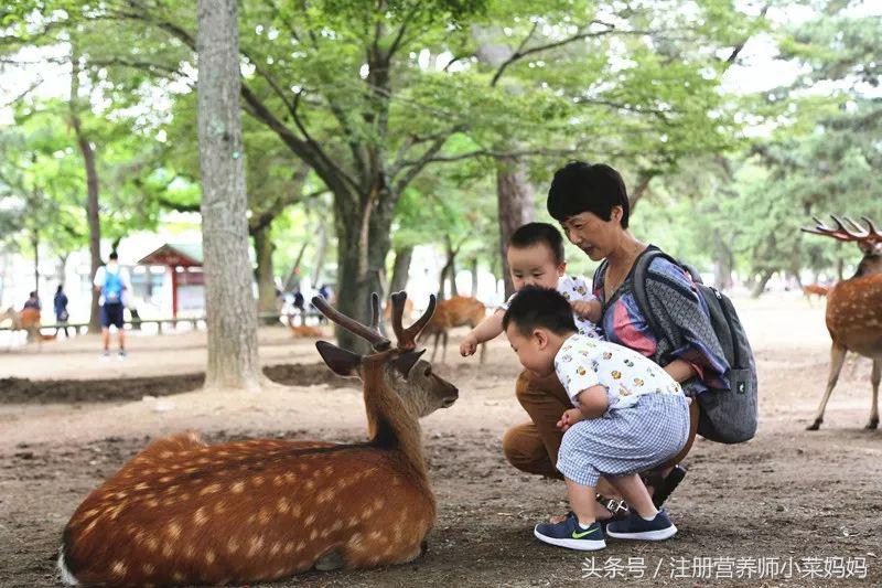 带娃去日本,照着做就对了