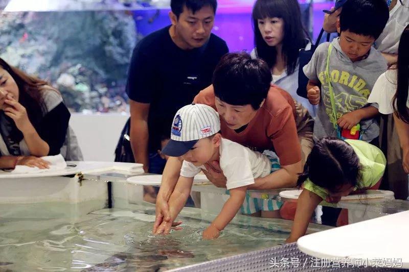 第一次带娃出国就选这！攻略都准备好啦