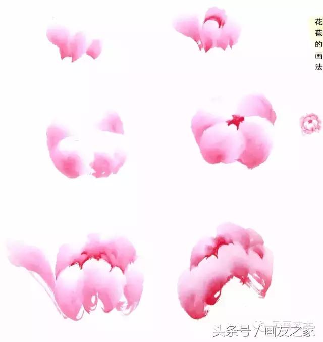 画写意牡丹用生宣纸还是熟宣纸,画写意牡丹用什么毛笔最好