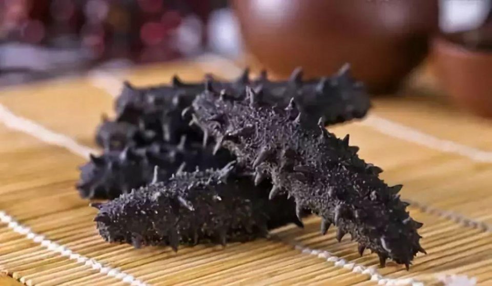 干海参发霉了洗洗还可以吃吗,干海参有点发霉了还能吃吗