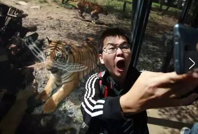 云南9d玻璃栈道,云南雪山峡谷玻璃栈道