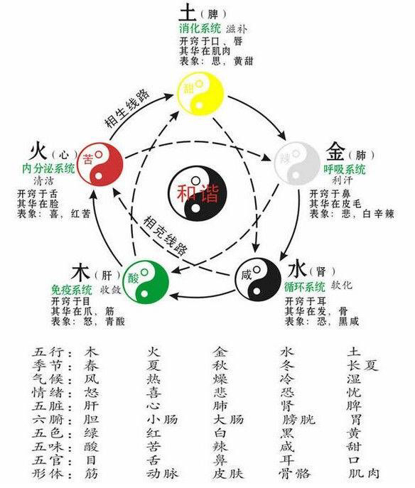学中医先学阴阳五行八卦,零基础学中医阴阳五行学说