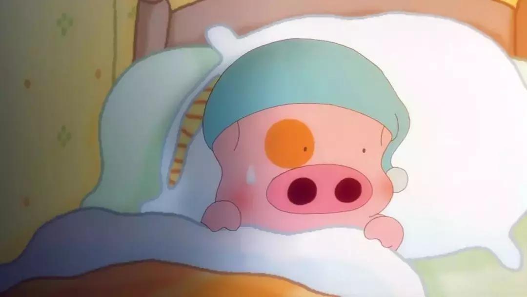 麦兜是一只平凡单纯的小猪,麦兜故事合集