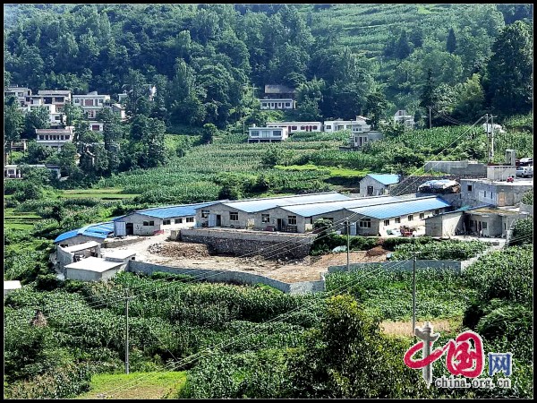 陈学忠:把扶贫仔猪送给农户