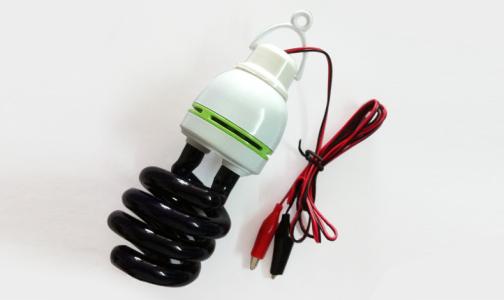 马铃薯害虫瓢虫,瓢虫里的害虫吃什么食物