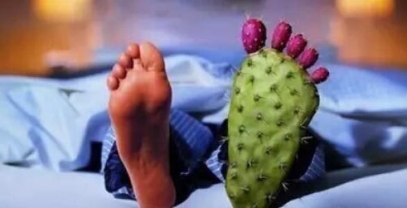 小暑什么人不能吃黄鳝,小暑的黄鳝胜人参