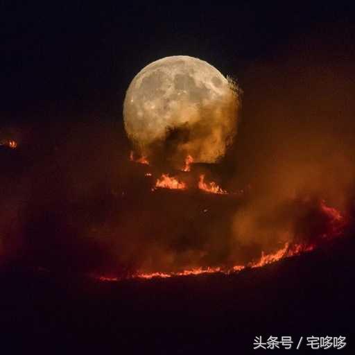 10张没p图但透露着诡异的照片,19张诡异的图片