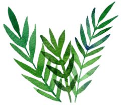 吉林省人民医院中医专家介绍,吉林市人民医院肿瘤科专家