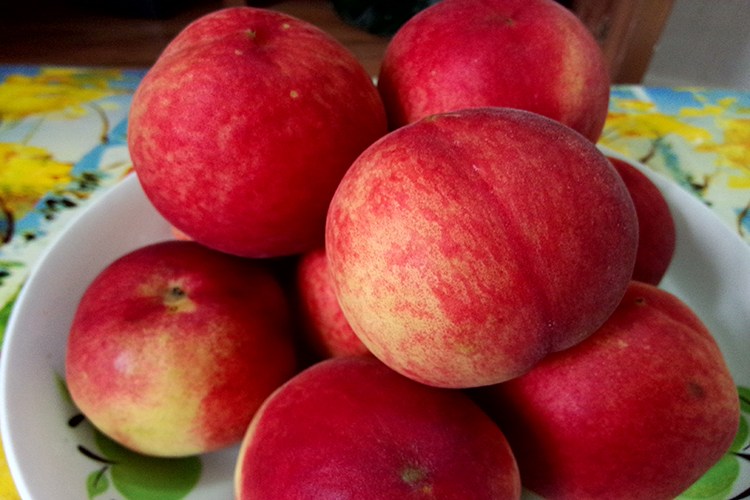 钓鱼水蜜桃香精与葡萄香精配比,水蜜桃香精钓鱼