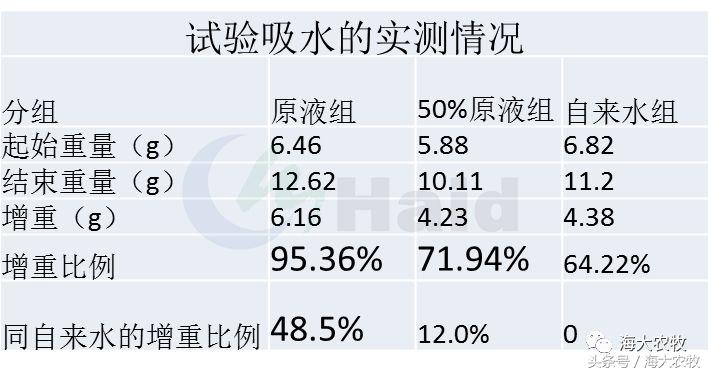 靠吃蚕豆吃出超高鱼价，这条鱼古法养殖名震全国