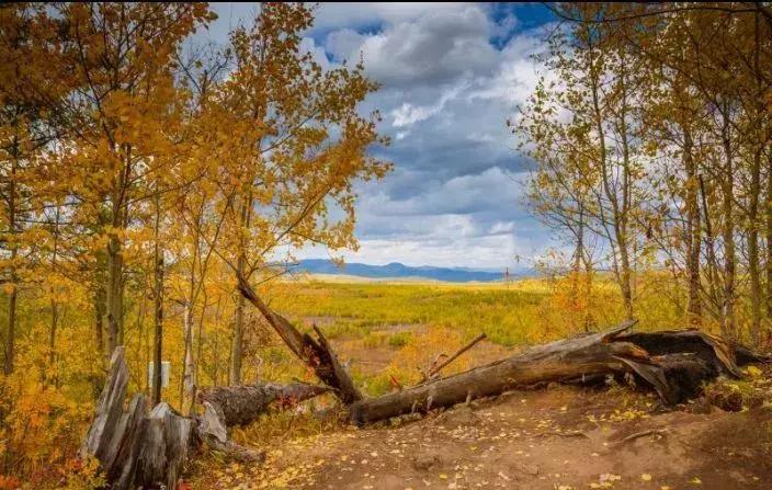 天津到长白山直达火车,天津出发4-5小时大巴旅游