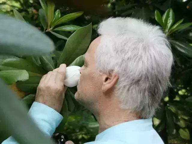 纯露敷脸,纯露敷脸护肤法