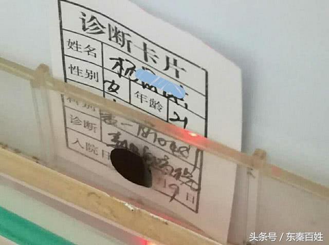 被毒蛇咬伤真实案例,被银环蛇咬伤后死亡率有多高