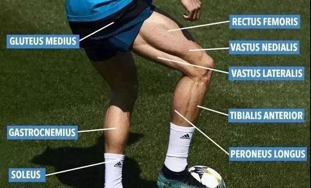 克里斯蒂亚罗纳尔多里奥梅西,克里斯蒂亚诺罗纳尔多永不服输