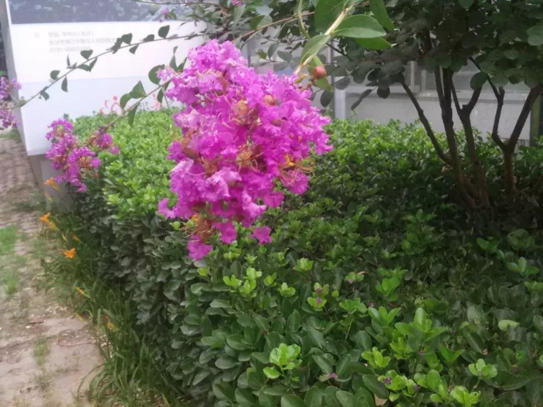 昂达x20平板打和平精英,昂达x20平板充电慢