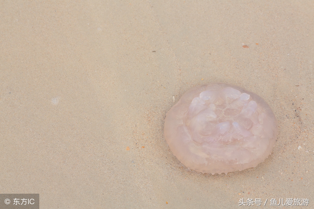 东疆港和北戴河哪个好玩,两宝妈带孩子自驾游