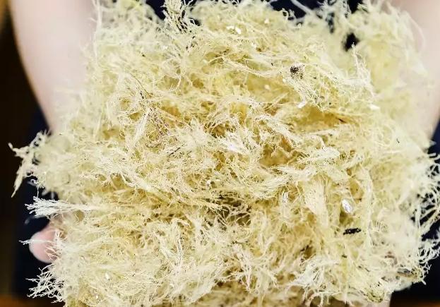 用黑凉粉做龟苓膏的教程,龟苓膏粉和冰粉粉的做法一样吗