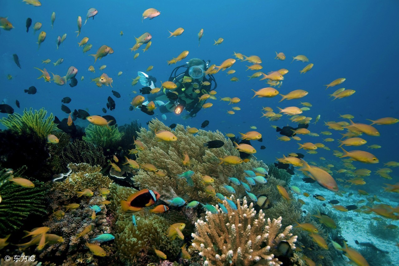 一生必去的浮潜胜地,世界十大浮潜胜地