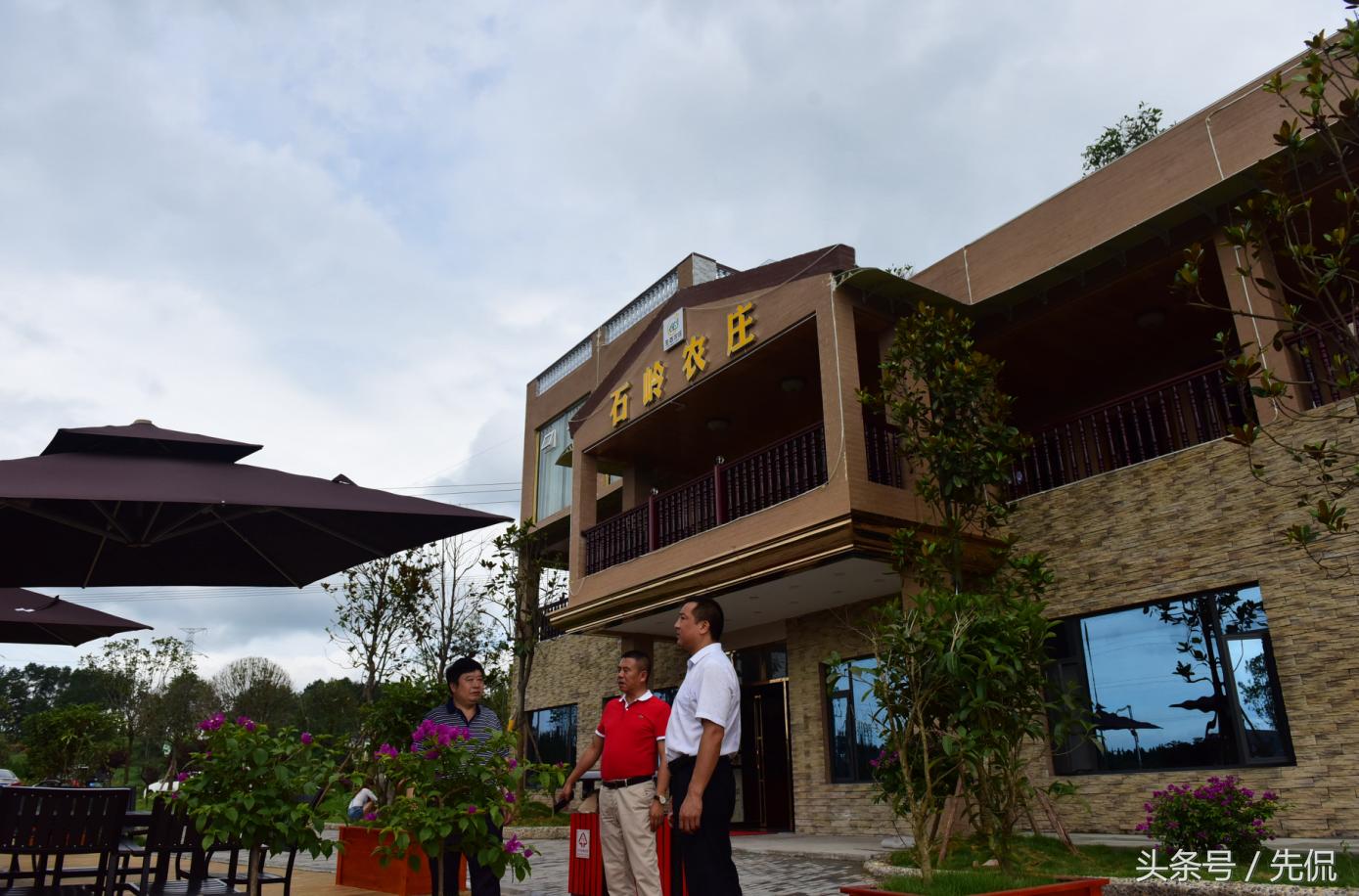 南充顺庆：大林镇产业“梦之队”打好发展“攻势足球”