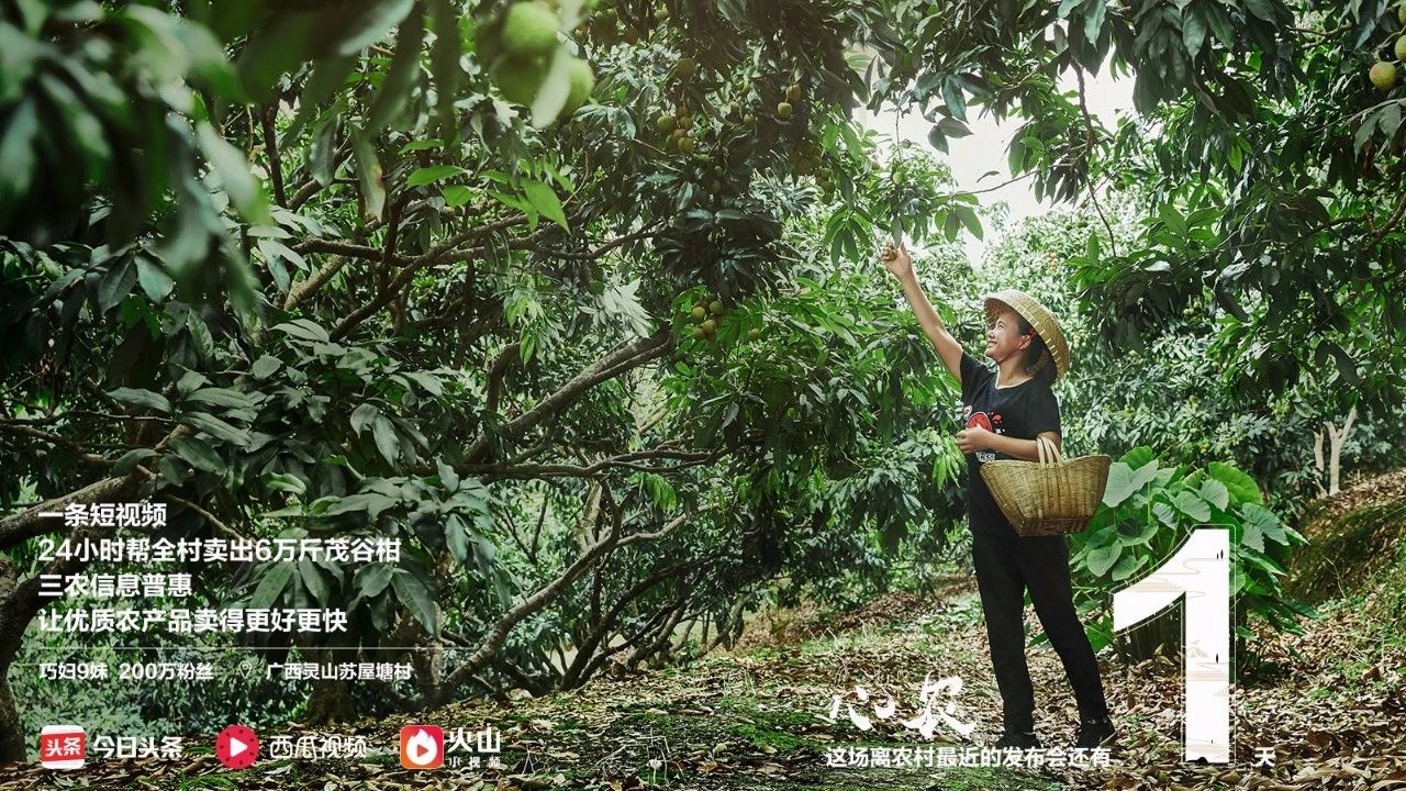 网红电商生意怎么做好的,农村的网红电商有哪些项目