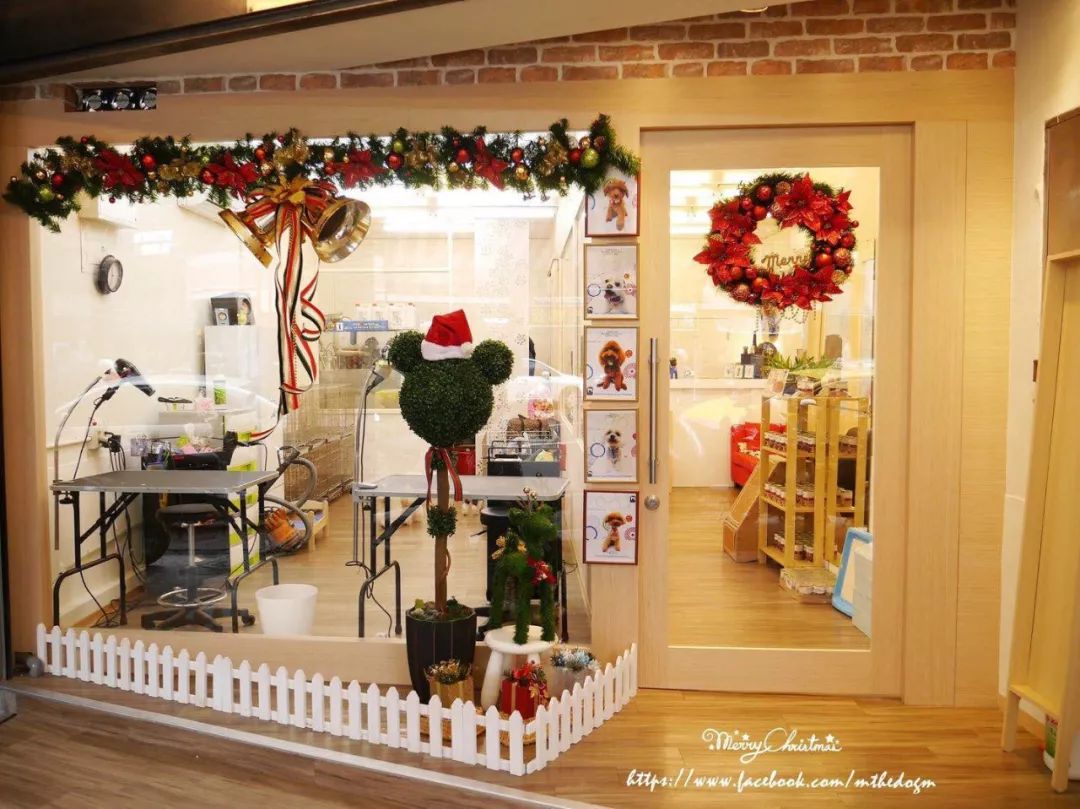 宠物店给宠物美容挣钱吗,宠物美容店一年真实利润