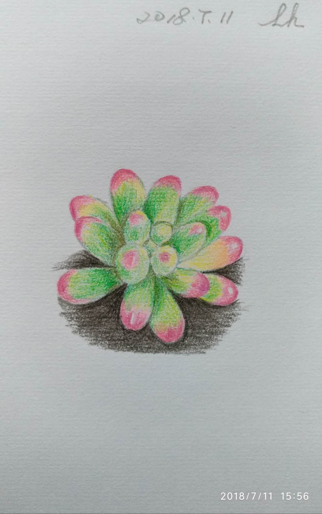 幸福原创画吧画友（7月11日）习作分享